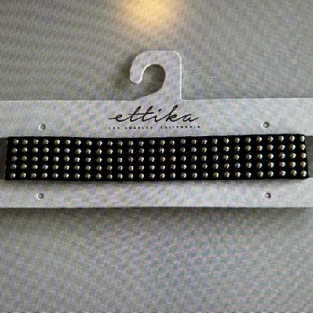 Nwt Revolve Ettika Studded Faux Leather Choker Necklace 19$